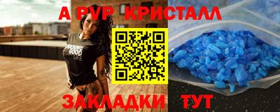 стафф Новокубанск