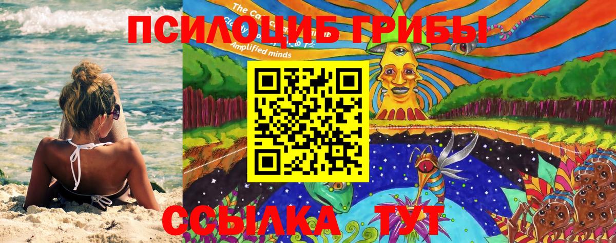 Галлюциногенные грибы Cubensis  Вход с VPN  Ревда 