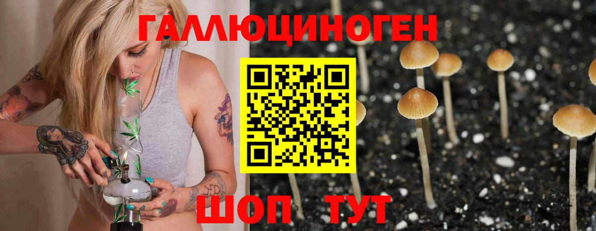 Галлюциногенные грибы ЛСД Ревда